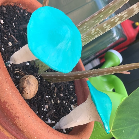 Set of 3 MUSHROOM π GARDEN FLOWER PLANT POT STAKES - Picture 10 of 12